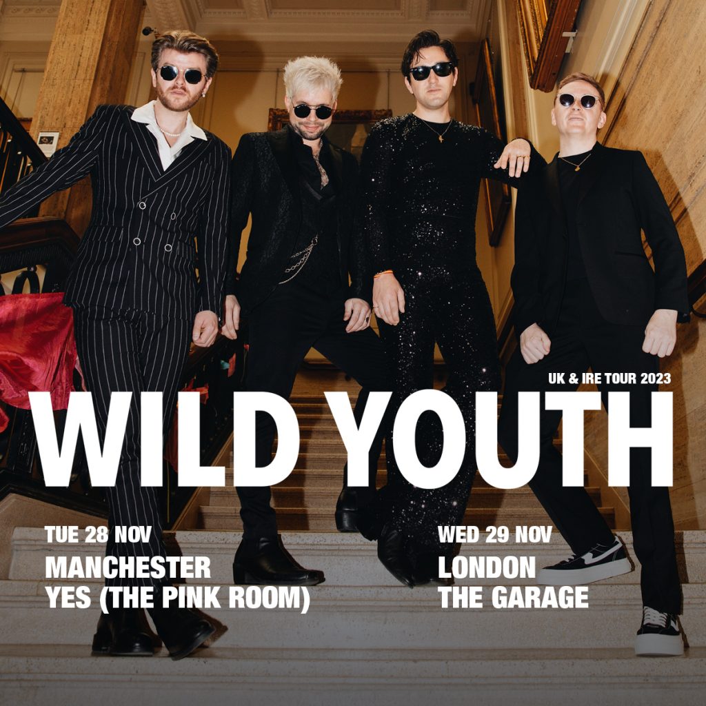 WILD YOUTH POSTER